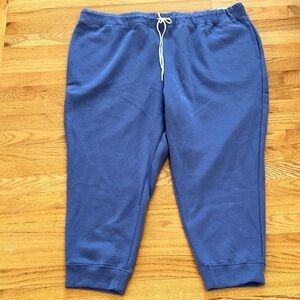 NWT Sonoma 3x, blue “iris” everyday fleece joggers.